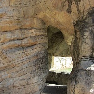 Kodiak Bear Viewing Cave