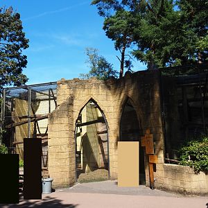 Sunda pig-tailed macaque exhibit