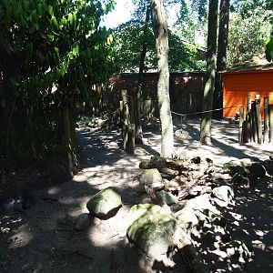 Tammar wallaby exhibit