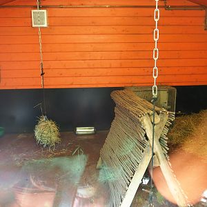 Tammar wallaby indoor housing