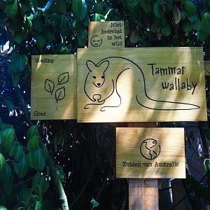 Sign tammar wallaby