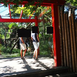 Red panda viewing area