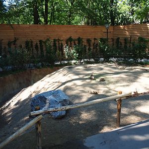 Black-tailed prairie dog exhibit