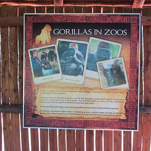 "Gorillas in Zoos" Signage