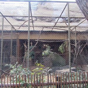 Galah Aviary