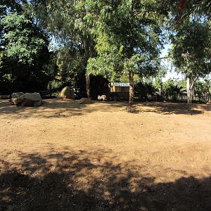 Red Kangaroo Yard