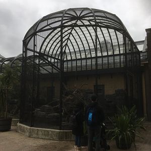 Kea aviary