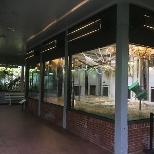 Chimpanzee indoor area