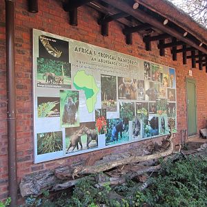 African Rainforest Signage