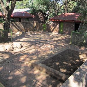 First Southern Warthog Yard