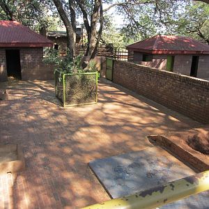 Second Southern Warthog Yard