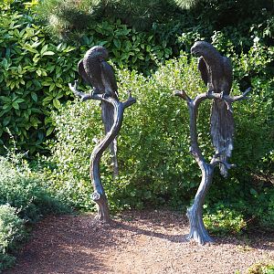 Macaw statues (Sep 2nd, 2018)