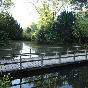 View of pond and bridge in the park (Sep 2nd, 2018)
