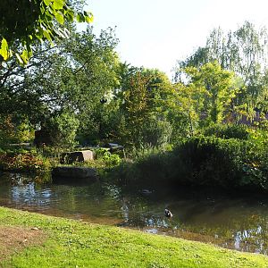 Moat around the Nuboso exhibit (Sep 2nd, 2018)