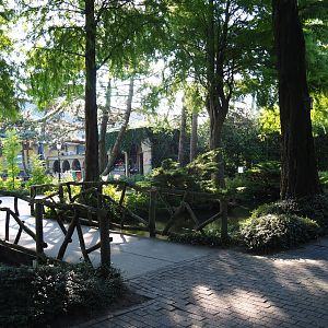 Bridge, water and trees (Sep 2nd, 2018)