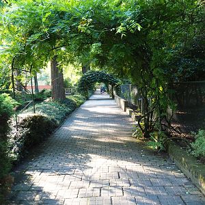 Pathway alongside wader bird and waterfowl exhibits (Sep 2nd, 2018)