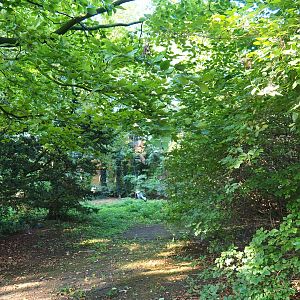 Grey crowned crane - Black stork - Coscoroba swan exhibit (Sep 2nd, 2018)