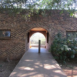 Arabian Oryx (Left) and African Forest Buffalo (Right) Barns
