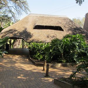 Nile Hippopotamus Viewing Shelter