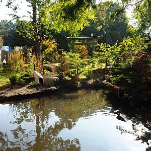 Chinese exhibit (Sep 2nd, 2018)