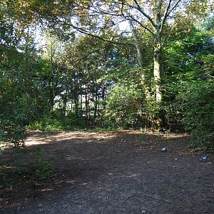 Common crane - Swan goose exhibit (Sep 2nd, 2018)