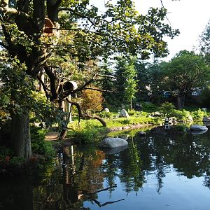 Chinese exhibit and viewing area (Sep 2nd, 2018)