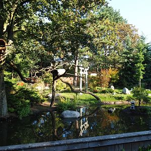 Chinese exhibit (Sep 2nd, 2018)