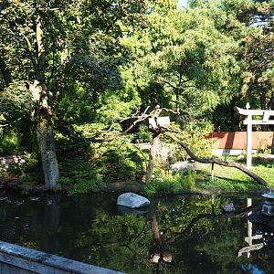 Chinese exhibit (Sep 2nd, 2018)