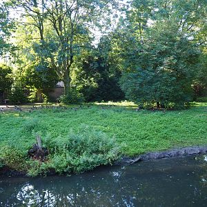 Saddle-billed stork - Grey crowned crane - Waterfowl exhibit (Sep 2nd, 2018)