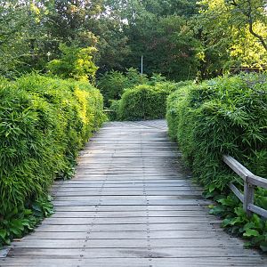 Pathway (Sep 2nd, 2018)