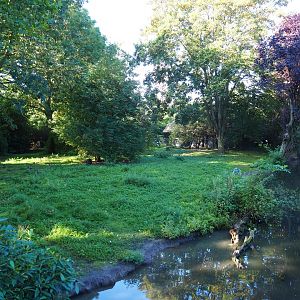 Saddle-billed stork - Grey crowned crane - Waterfowl exhibit (Sep 2nd, 2018)