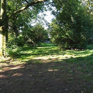 Saddle-billed stork - Grey crowned crane - Waterfowl exhibit (Sep 2nd, 2018)