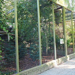 Block of aviaries (Sep 2nd, 2018)