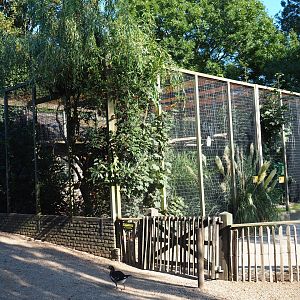 Aviary block and access to walk-through bird aviary (Sep 2nd, 2018)