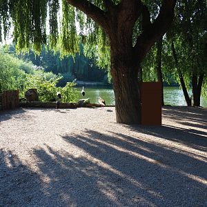 View in walk-through bird area (Sep 2nd, 2018)