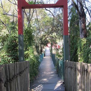 Bridge over Apies River