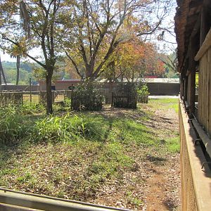 Second Malayan Tapir Yard