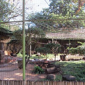 Mixed Species Aviary