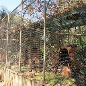 Row of Northern Bald Ibis Aviaries
