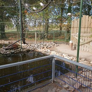 Gull - Penguin enclosure