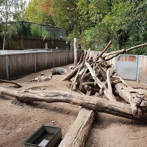 Porcupine-enclosure