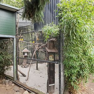 Parakeet-aviary