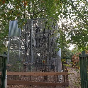 Spider monkey enclosure