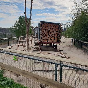 Prairiedog - Porcupine enclosure