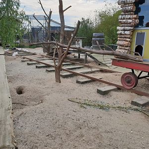 Enclosure Prairiedog - Porcupine