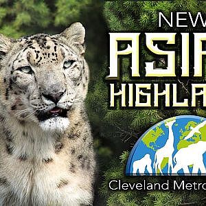 Tour of the New! Asian Highlands