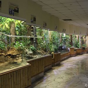 Inisde Reptile & Amphibian-house; October 2018