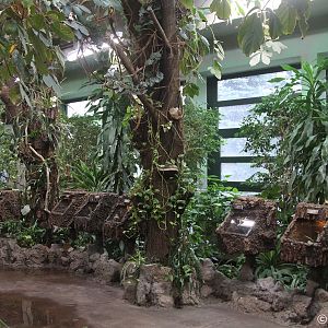 Inside Invertebrates-house; October 2018