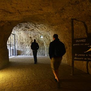 Great South American Aviary at Doué-la-Fontaine, 15/06/18