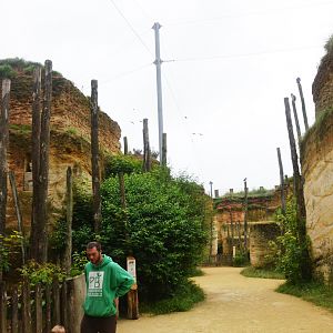 Great South American Aviary at Doué-la-Fontaine, 15/06/18